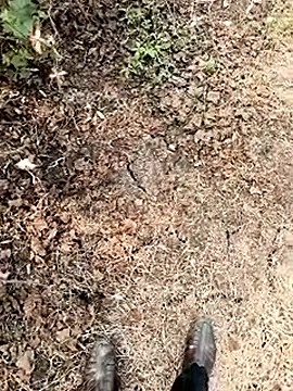 himvilohi08 online show from January 2026 06:18:01 AM