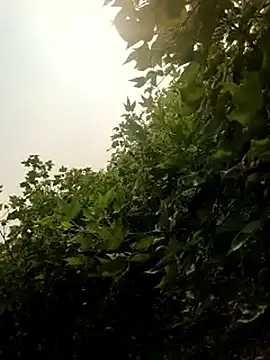 himvilohi08 online show from October 2025 10:25:02 AM