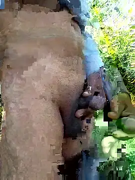 himvilohi08 online show from December 2025 05:24:02 AM