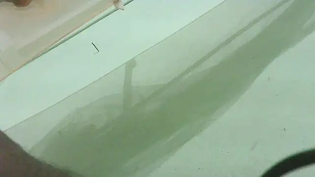 CrazyMove83 online show from February 2026 12:05:02 PM