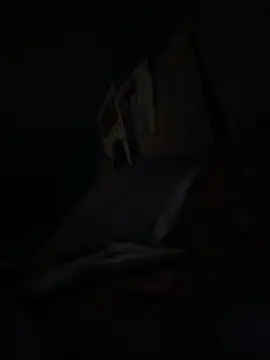 Snapshot of wainer02 chatting on March 2025 12:12:01 PM wainer02 online show from March 2025 12:12:01 PM