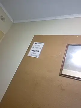 bakedsnackmmh online show from March 2026 06:09:02 PM