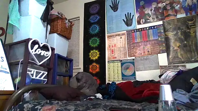 Snapshot of GardeniaFields chatting on October 2025 03:51:01 AM GardeniaFields online show from October 2025 03:51:01 AM