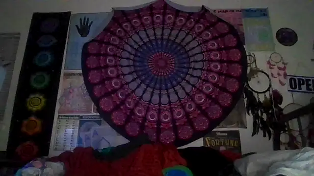 Snapshot of GardeniaFields chatting on March 2026 09:16:01 AM GardeniaFields online show from March 2026 09:16:01 AM