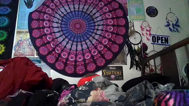 Snapshot of GardeniaFields chatting on February 2026 08:59:01 AM GardeniaFields online show from February 2026 08:59:01 AM