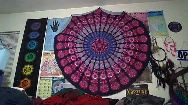 GardeniaFields online show from March 2026 09:32:02 AM