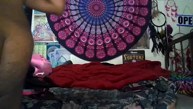 GardeniaFields online show from March 2026 09:56:01 AM