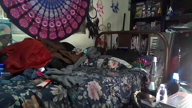 Snapshot of GardeniaFields chatting on December 2025 04:50:02 AM GardeniaFields online show from December 2025 04:50:02 AM