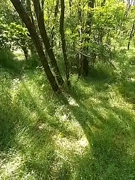 Snapshot of sile47 chatting on May 2026 12:16:01 PM sile47 online show from May 2026 12:16:01 PM