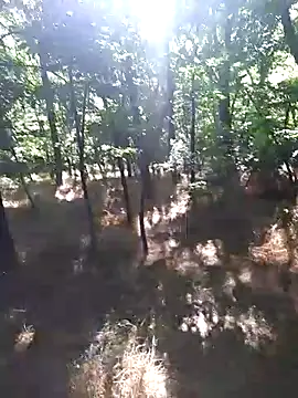 Snapshot of sile47 chatting on June 2026 01:01:02 PM sile47 online show from June 2026 01:01:02 PM