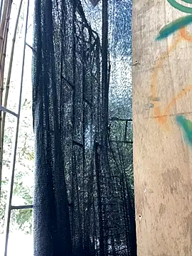 val zx online show from September 2025 06:29:01 PM