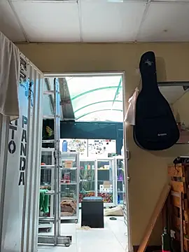 val zx online show from September 2025 04:18:01 PM