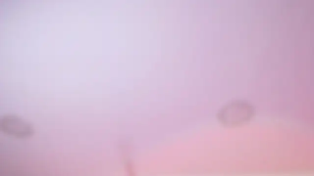 wet valery online show from February 2026 03:04:01 AM