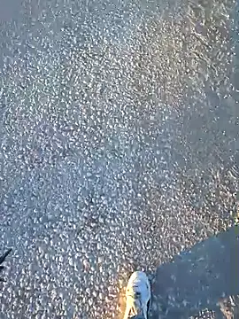 Thunderbolt121 online show from March 2026 04:49:01 AM