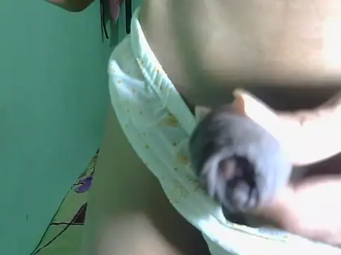 SIHUMISEXY online show from March 2026 06:22:02 PM