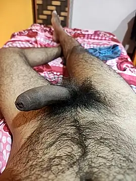 pmr1997 online show from November 2025 05:50:02 PM