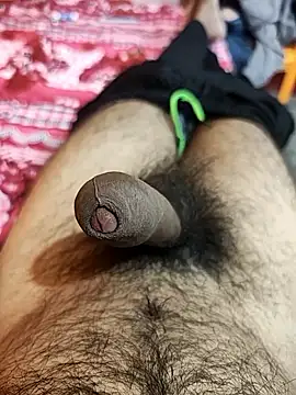 pmr1997 online show from November 2025 02:04:01 AM