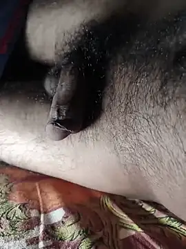 Mr skywalker online show from March 2026 11:33:02 AM