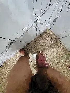 Snapshot of Pauloosil chatting on March 2025 01:51:01 PM Pauloosil online show from March 2025 01:51:01 PM