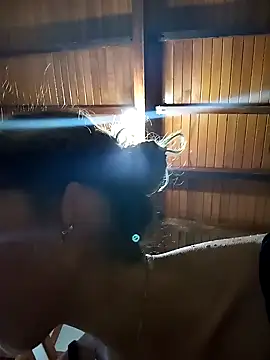 Snapshot of Sexi_girl29 chatting on November 2025 09:41:01 PM Sexi girl29 online show from November 2025 09:41:01 PM