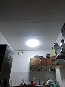 ThePython666 online show from November 2025 06:44:02 PM