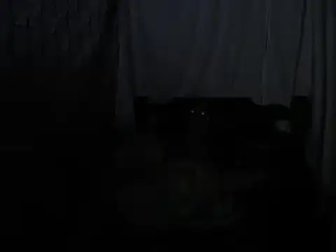 SHARONYJQVI online show from March 2025 05:39:01 AM