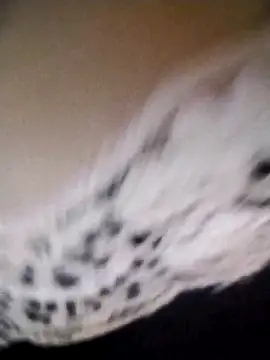 az9ovsqjqhva online show from November 2025 11:52:02 PM