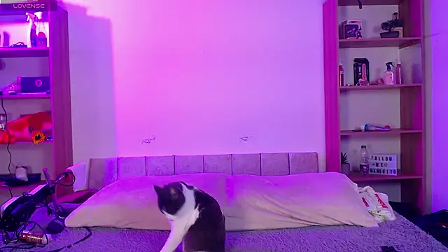 Soy mangx online show from January 2026 03:02:02 AM