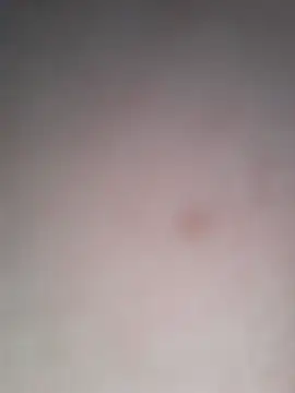 Nick-Ox online show from November 2025 12:58:02 AM