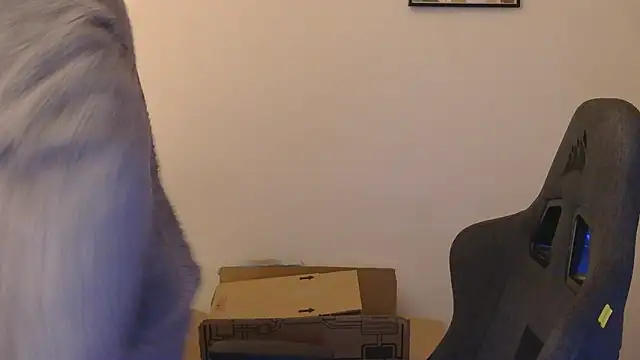 orangegummybear online show from September 2025 03:57:01 AM