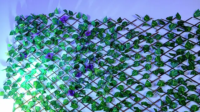 alice rous21 online show from October 2025 01:34:01 PM