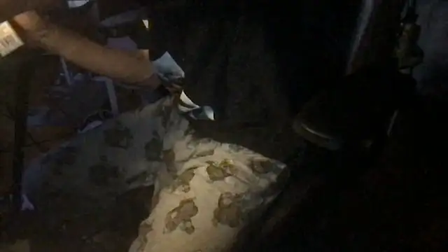 twink69Finger online show from December 2025 12:30:03 PM