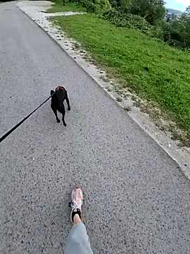 svenpfeifer online show from September 2025 06:58:02 AM