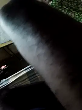 PolarFriend0 online show from February 2026 04:40:02 PM