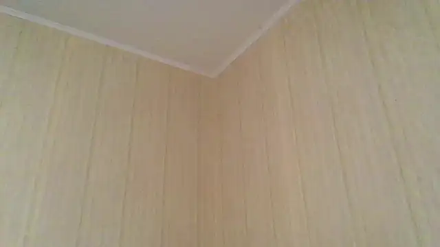  Black-Panther  online show from November 2025 08:18:02 AM