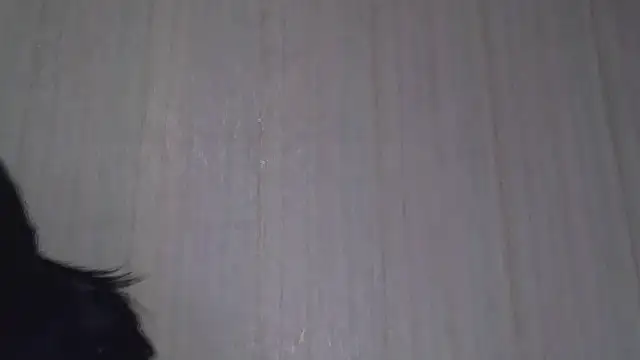  Black-Panther  online show from October 2025 08:26:02 AM