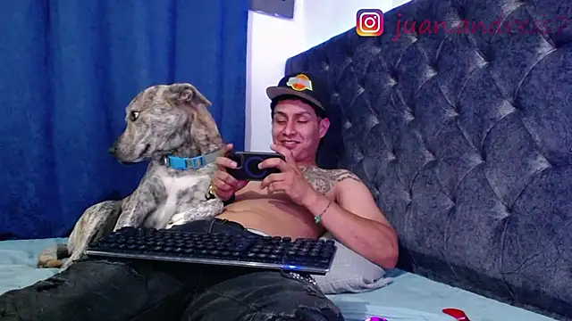 Stone grey1  online show from February 2026 03:59:01 AM