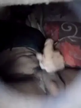 Ayush pussy fucker online show from March 2026 05:20:01 PM