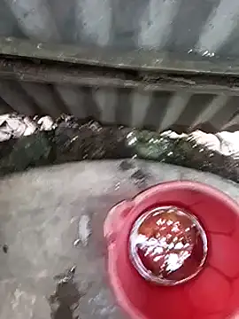 Ayush pussy fucker online show from November 2025 09:36:02 AM