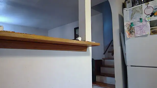 jonnygoodtimes online show from November 2025 07:29:02 PM