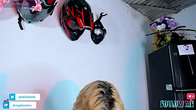 adam angelssss online show from November 2025 08:53:02 PM