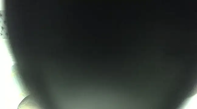 elizabeth swan18 online show from March 2025 12:46:02 PM