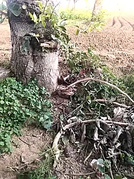 Snapshot of JAZZYS8 chatting on October 2025 11:40:02 AM JAZZYS8 online show from October 2025 11:40:02 AM