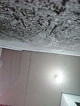 membro destruidor online show from March 2026 05:15:01 PM