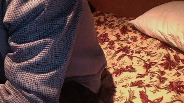 JoaoPinto0 online show from October 2025 11:01:02 PM