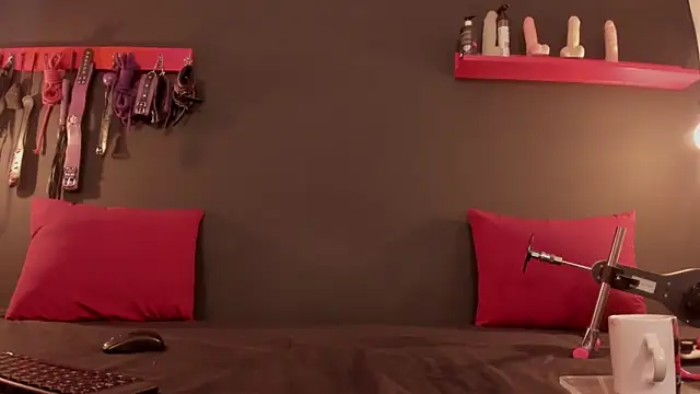 ammytorrez  online show from November 2025 11:48:01 AM