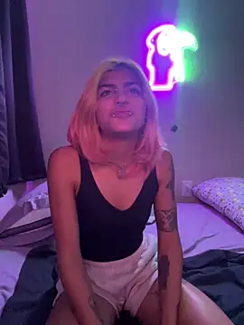 Harley cams online show from September 2025 02:27:01 AM