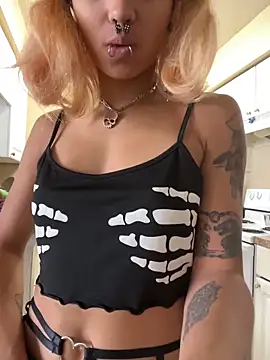 Harley cams online show from October 2025 01:54:02 PM