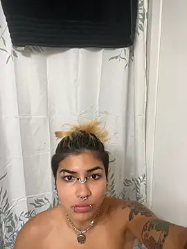 Harley cams online show from December 2025 05:23:01 PM