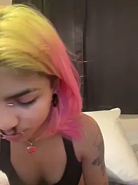 Harley cams online show from September 2025 12:42:01 AM